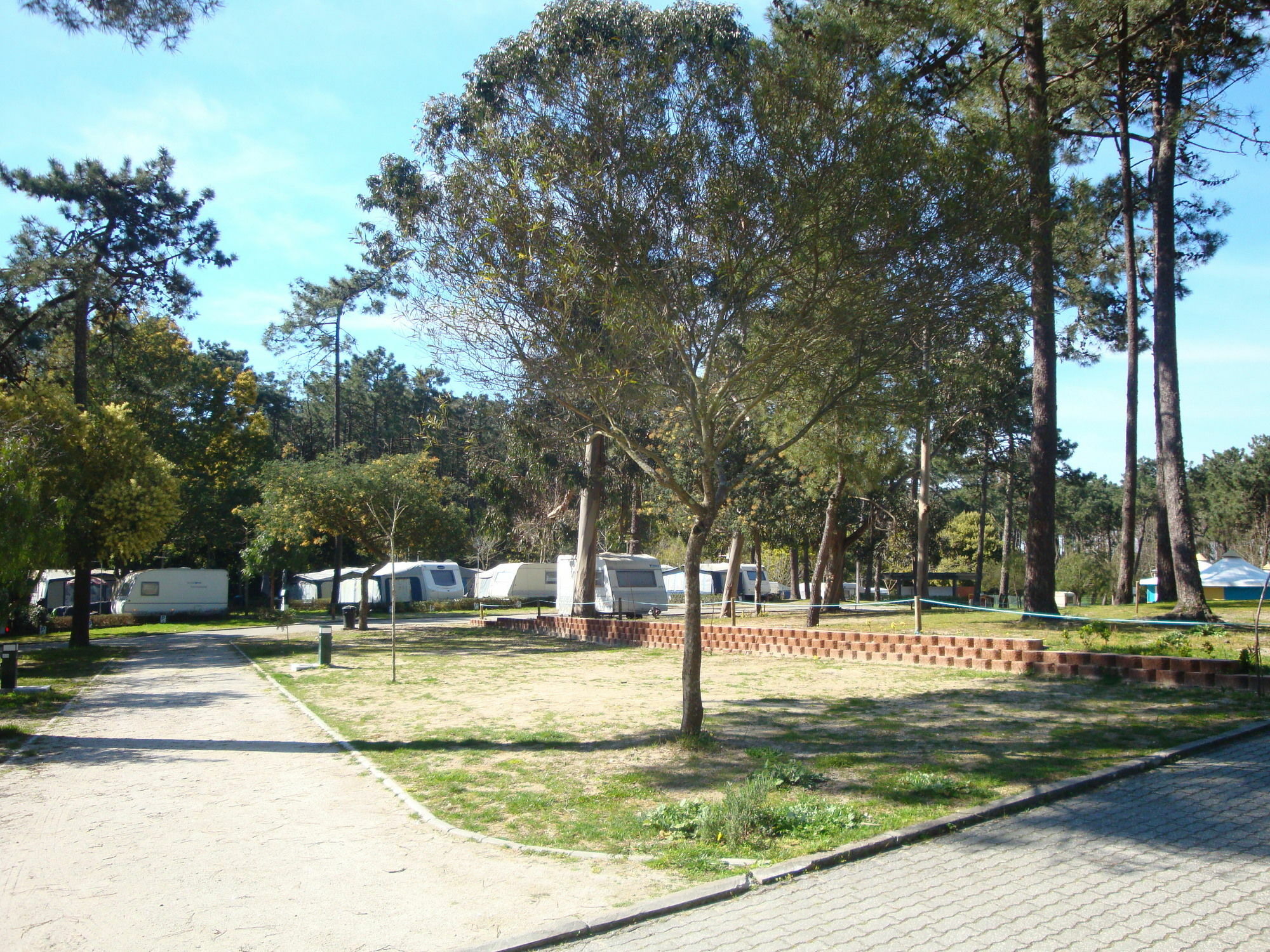 Orbitur Caminha Bungalows - Caravan Park Екстер'єр фото
